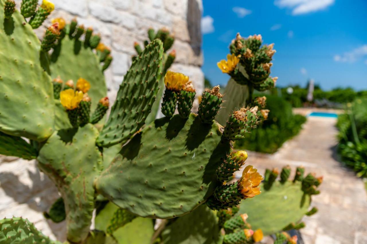 Wepuglia - Trullo Rampone Villa Martina Franca Exterior foto